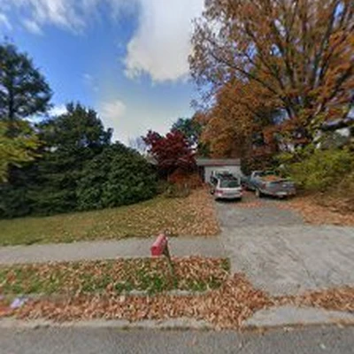 Blue Ridge Tree Specialists