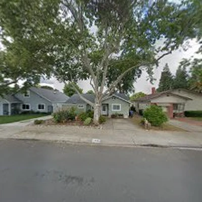 Gilbert's Tree Services