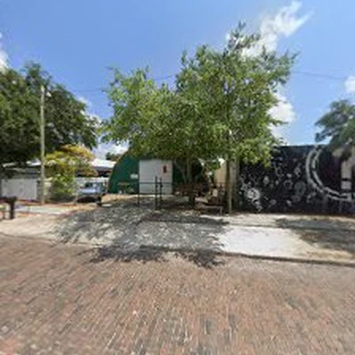 Bay City Tree Services