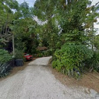Panorama Tree Care