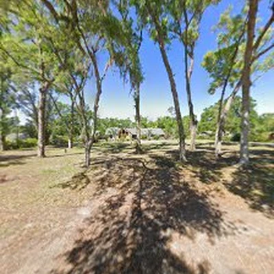 Southern Roots Tree and Landscape