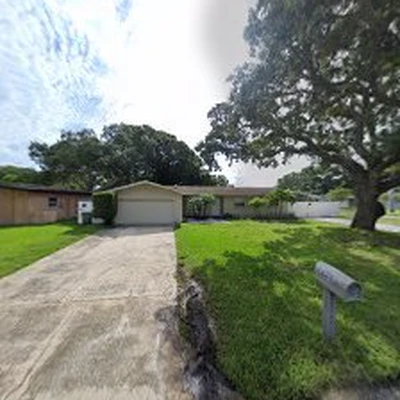 The Tree Feller of Pinellas