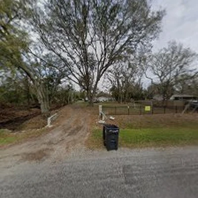 Riverview tree services