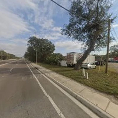 PAYNE'S TREES