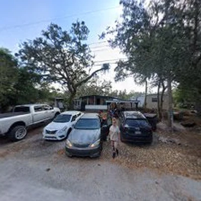 TNT TREE SERVICE LLC