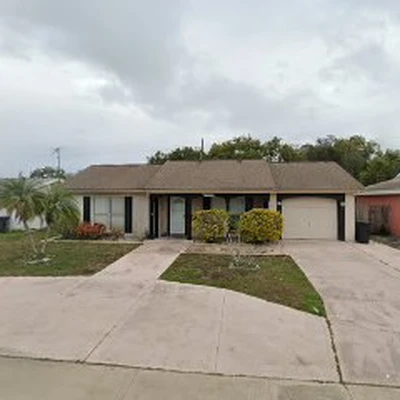 New Port Richey Tree Service
