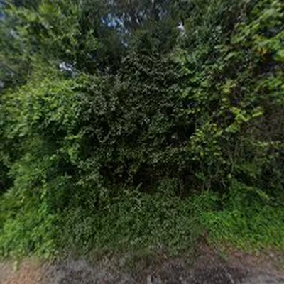 K and T Tree Service