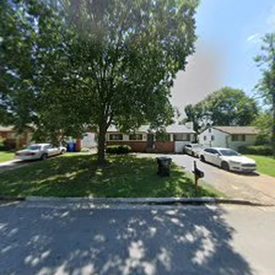 Timber Tree Care