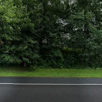 Maximum Tree Service & Removal of Orono