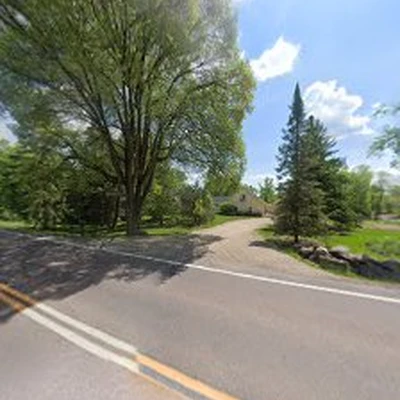 Trees by Forrest | Tree Removal Company in Plymouth, MN