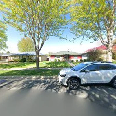 Geo tree services