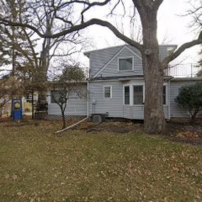 Arbor Tree Services