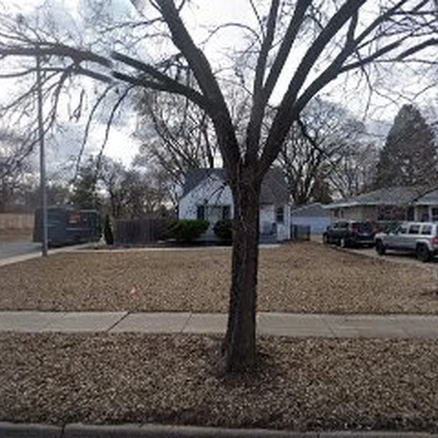 Stump Masters