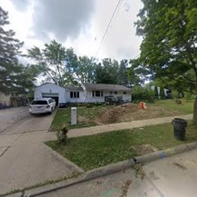 Daves Tree Removal Inc.