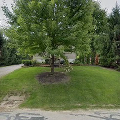 Skyline Tree Service Inc