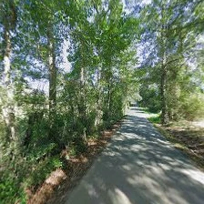 Lagniappe Tree Works