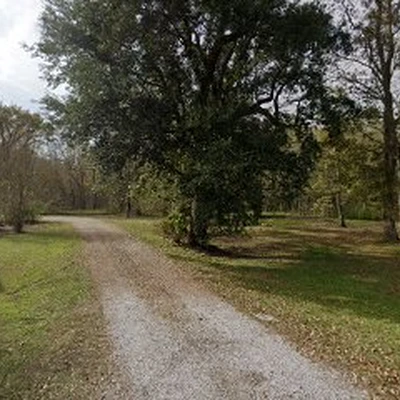 Trees Unlimited