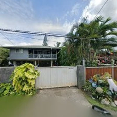 Hawaii Tree Co.