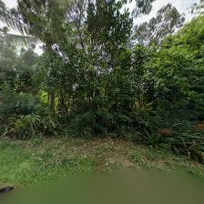 JM Island Tree Service