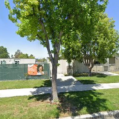 Budget Tree Service Irvine