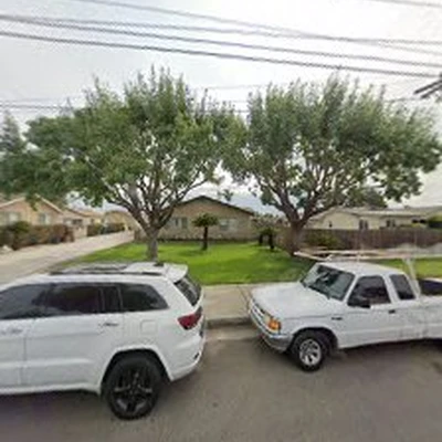 S&j natural tree service