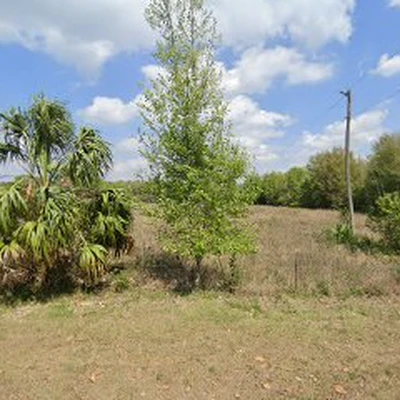 Florida Brush Cutter Tree Service Geneva