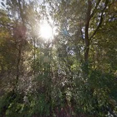 Fricke's Tree Service