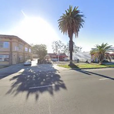Tree Service Riverside City