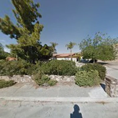 ST Tree Services