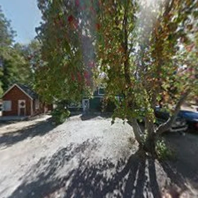 Absolute Tree Service Inc.