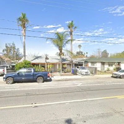 Sims Trees of Fontana