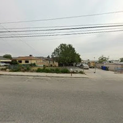 YardLand Palm Tree Works