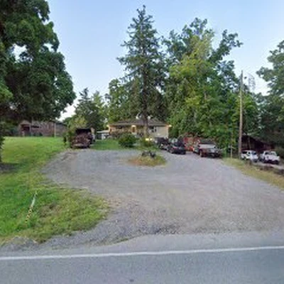 Ugly Tree Tree Service