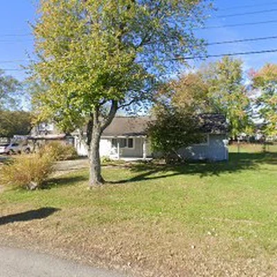 Aaron Back Stump Grinding and Tree Services