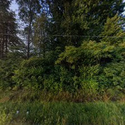 R&B Tree Service and Stump Removal