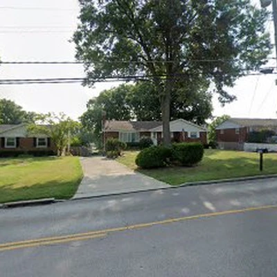 Tepe Tree Services