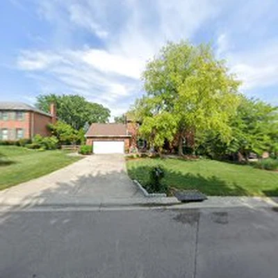 Bailey Tree Expert