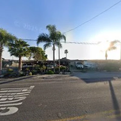 Norcal Tree Consulting Services