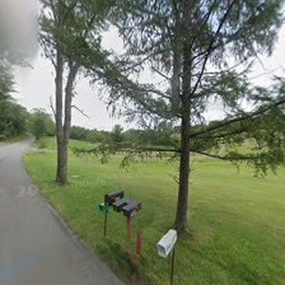 Eighty Four Tree Service
