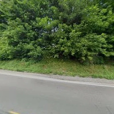 Precision Land & Tree LLC