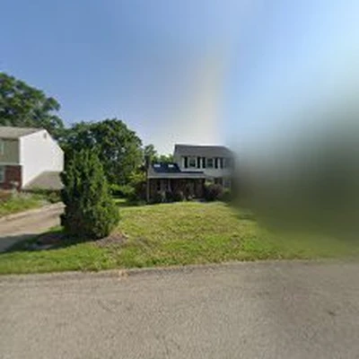Jungle Boys Tree Service LLC