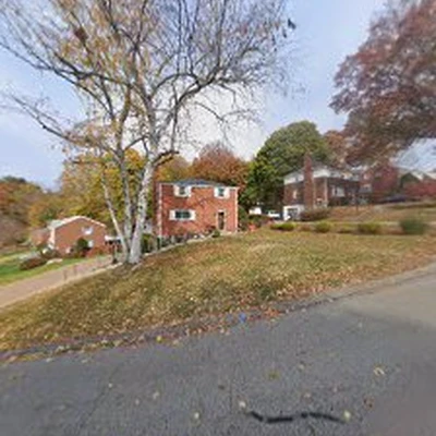 All Pitt Tree Care