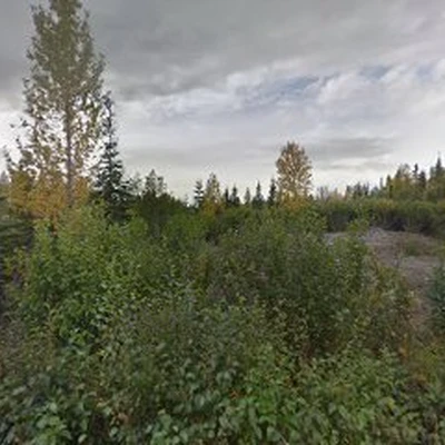 Alaska Tree Solutions
