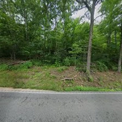 Zeigler's Stump Grinding and Tree Removal