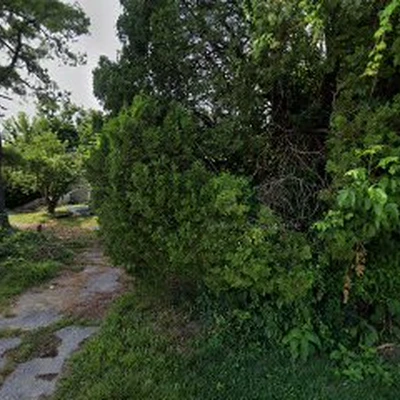 LSW Tree Service