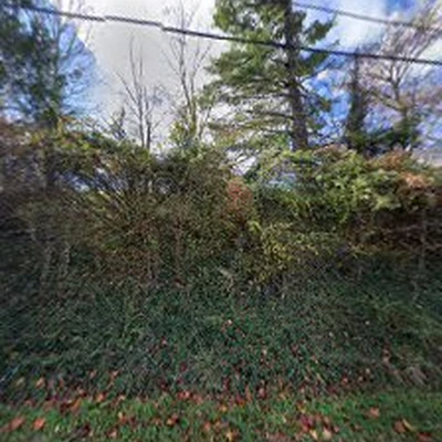 Ronald Dean Tree Trimming and Removal