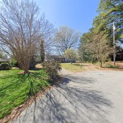 Davis Tree Surgeons