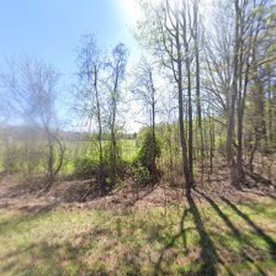 AMERICAN MADE TREE SERVICE LLC