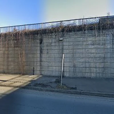 Burlington Tree Service