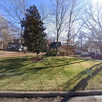 Pruitt Stump Grinding